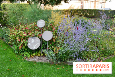 Le jardin des cinq sens à Pontoise, un lieu bucolique et sensoriel !