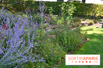 Le jardin des cinq sens à Pontoise, un lieu bucolique et sensoriel !