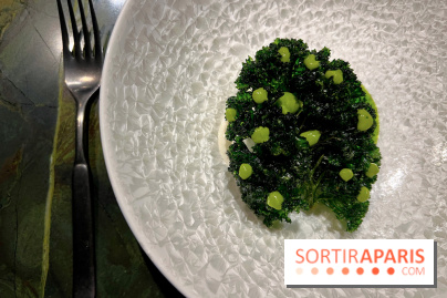 Mantra - Chou rave, kale, coco fermentée, crevettes