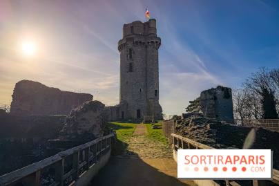 Ile-de-France : La Tour de Montlhéry au panorama unique sur l'Essonne