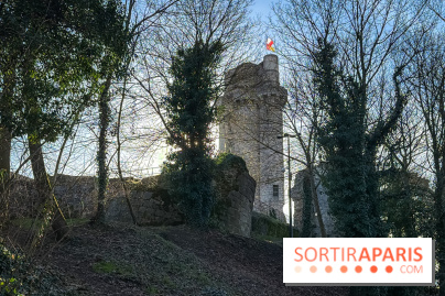 Ile-de-France : La Tour de Montlhéry au panorama unique sur l'Essonne - Flow IMG 20260208 152844 01 125