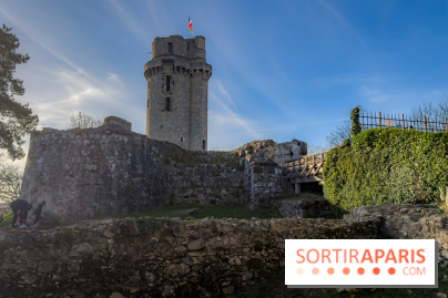 Ile-de-France : La Tour de Montlhéry au panorama unique sur l'Essonne - IMG 0603