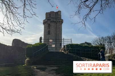 Ile-de-France : La Tour de Montlhéry au panorama unique sur l'Essonne - IMG 0596
