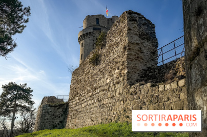 Ile-de-France : La Tour de Montlhéry au panorama unique sur l'Essonne - IMG 0595