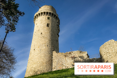 Ile-de-France : La Tour de Montlhéry au panorama unique sur l'Essonne - IMG 0592