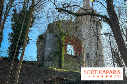 Ile-de-France : La Tour de Montlhéry au panorama unique sur l'Essonne - Flow 151254 01 117