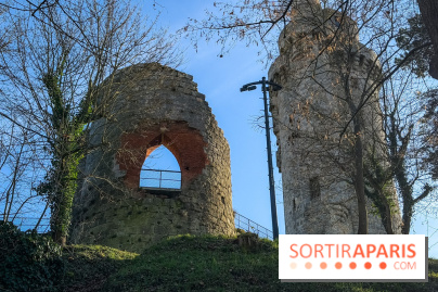 Ile-de-France : La Tour de Montlhéry au panorama unique sur l'Essonne
