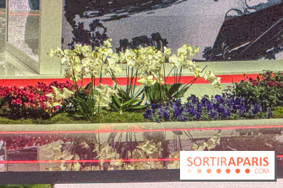 Six Invitational 2026 - IMG 3755