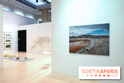 Exposition Contraste et indifférence au Centre culturel canadien - nos photos