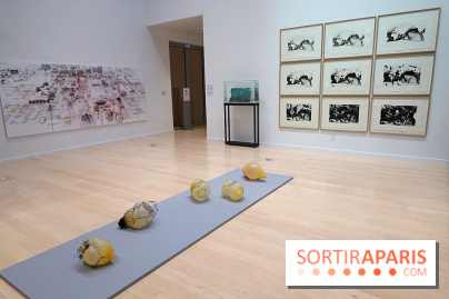 Exposition Contraste et indifférence au Centre culturel canadien - nos photos