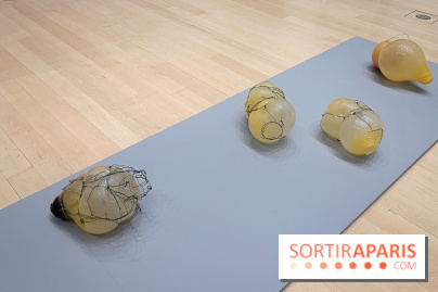 Exposition Contraste et indifférence au Centre culturel canadien - nos photos