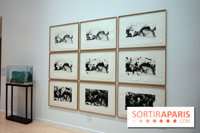 Exposition Contraste et indifférence au Centre culturel canadien - nos photos