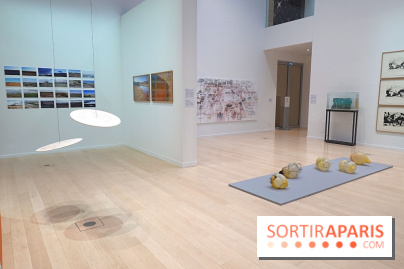 Exposition Contraste et indifférence au Centre culturel canadien - nos photos