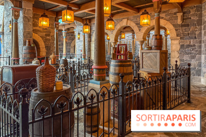 Frozen Ever After : l'attraction La Reine des Neiges à Disneyland Paris - IMG 3815