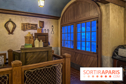 Frozen Ever After : l'attraction La Reine des Neiges à Disneyland Paris - IMG 3834