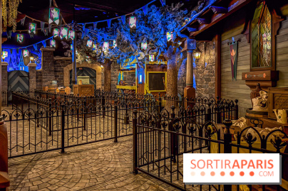 Frozen Ever After : l'attraction La Reine des Neiges à Disneyland Paris - IMG 3836