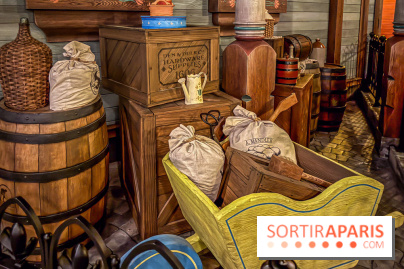 Frozen Ever After : l'attraction La Reine des Neiges à Disneyland Paris - IMG 3843