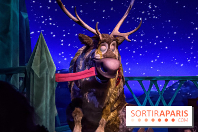 Frozen Ever After : l'attraction La Reine des Neiges à Disneyland Paris