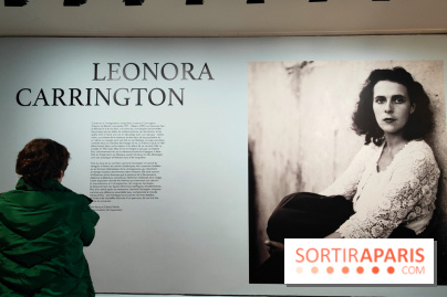 Leonora Carrington, l'exposition onirique d'une artiste surréaliste au musée du Luxembourg, photos - fotor 1771255254108