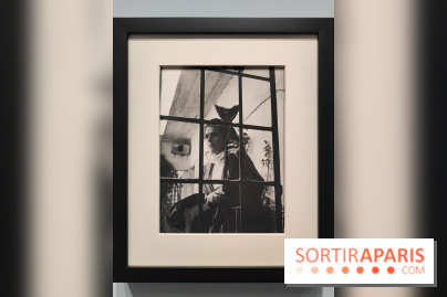 Leonora Carrington, l'exposition onirique d'une artiste surréaliste au musée du Luxembourg, photos - fotor 1771255375376