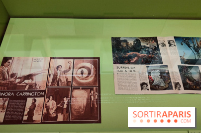 Leonora Carrington, l'exposition onirique d'une artiste surréaliste au musée du Luxembourg, photos