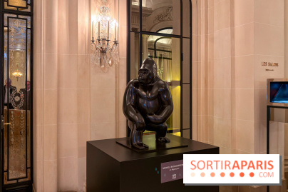 Exposition gratuite au Plaza Athénée : le bestiaire de Michel Bassompierre s'invite au palace - IMG 3878