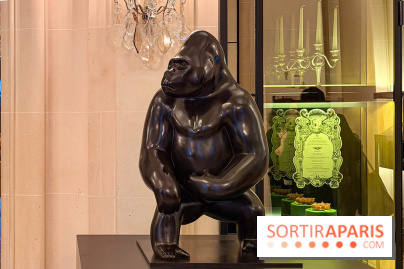 Exposition gratuite au Plaza Athénée : le bestiaire de Michel Bassompierre s'invite au palace - IMG 3885