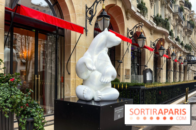 Exposition gratuite au Plaza Athénée : le bestiaire de Michel Bassompierre s'invite au palace - IMG 3907