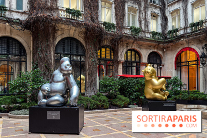 Exposition gratuite au Plaza Athénée : le bestiaire de Michel Bassompierre s'invite au palace - IMG 3910