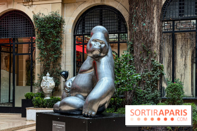 Exposition gratuite au Plaza Athénée : le bestiaire de Michel Bassompierre s'invite au palace - IMG 3918