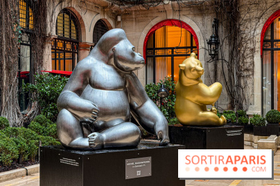 Exposition gratuite au Plaza Athénée : le bestiaire de Michel Bassompierre s'invite au palace - IMG 3929