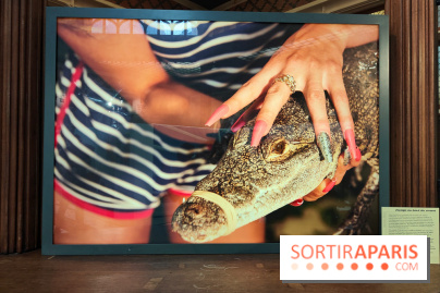 All Inclusive : la photographe Kourtney Roy interroge le tourisme dans une exposition à Citéco