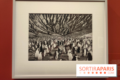 Sebastião Salgado au cœur d'une exposition de photos gratuite à l'Hôtel de Ville de Paris