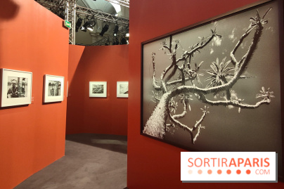 Sebastião Salgado au cœur d'une exposition de photos gratuite à l'Hôtel de Ville de Paris