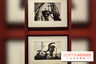 Sebastião Salgado au cœur d'une exposition de photos gratuite à l'Hôtel de Ville de Paris