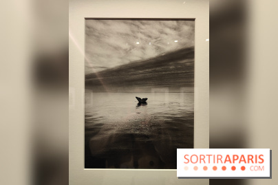 Sebastião Salgado au cœur d'une exposition de photos gratuite à l'Hôtel de Ville de Paris