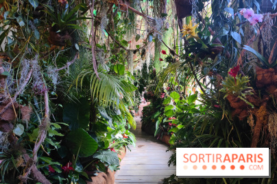 Sebastião Salgado au cœur d'une exposition de photos gratuite à l'Hôtel de Ville de Paris - fotor 1771520527216