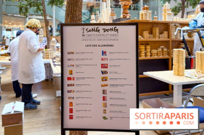 Song Dong  - IMG 4188