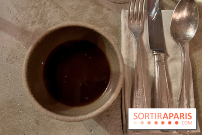 Vivide - Infusion peaux de légumes 