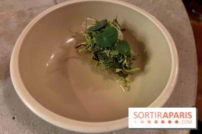 Vivide - Sorbet aux herbes 