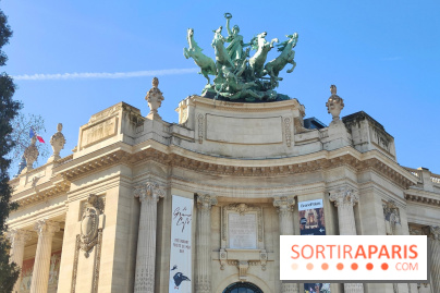 Insolite : assistez au montage en live d'une maquette LEGO du Grand Palais - fotor 1772017476523