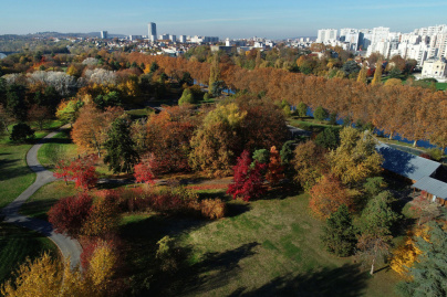 Octobre dans les parcs de Seine-Saint-Denis : l’automne s’invite au grand air !