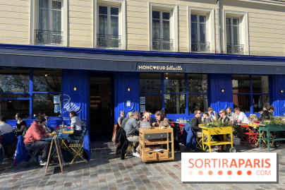 Moncœur Belleville - Terrasse vue Paris