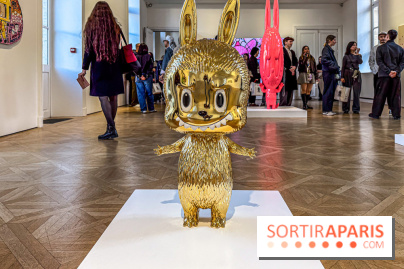 Exposition Labubu à Paris : THE MONSTERS fête ses 10 ans lors d’une rétrospective - IMG 4238