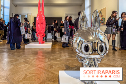 Exposition Labubu à Paris : THE MONSTERS fête ses 10 ans lors d’une rétrospective - IMG 4239