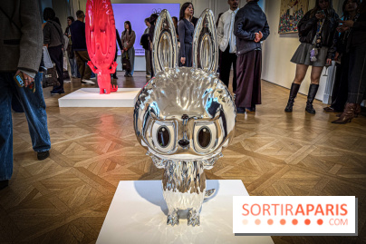Exposition Labubu à Paris : THE MONSTERS fête ses 10 ans lors d’une rétrospective - IMG 4240