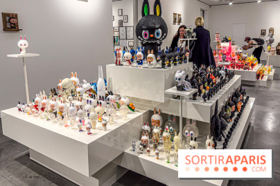 Exposition Labubu à Paris : THE MONSTERS fête ses 10 ans lors d’une rétrospective - IMG 4265