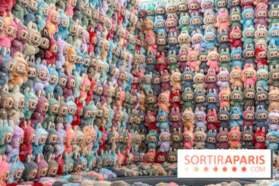 Exposition Labubu à Paris : THE MONSTERS fête ses 10 ans lors d’une rétrospective - IMG 4301