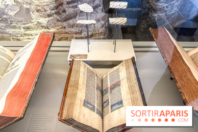 Licornes ! : l’exposition du Musée de Cluny à Paris explore le mythe de la créature légendaire - IMG 4435