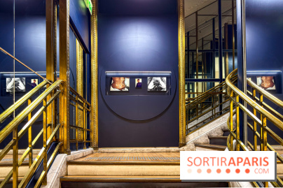 Pour Toujours, exposition de Maurizio Catelan aux Galeries Lafayette - IMG 5800